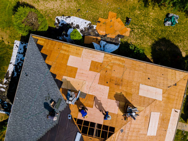 Best Roof Leak Repair  in Chevy Chase Village, MD