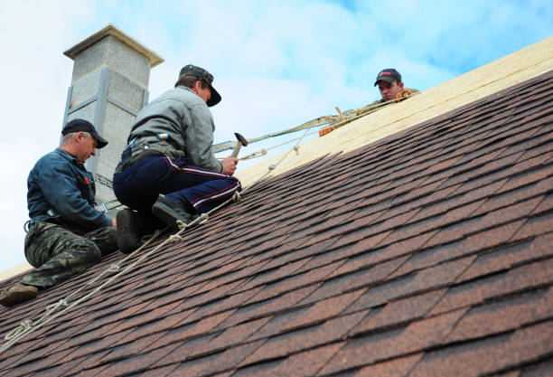 Best Roof Gutter Cleaning  in Chevy Chase Village, MD